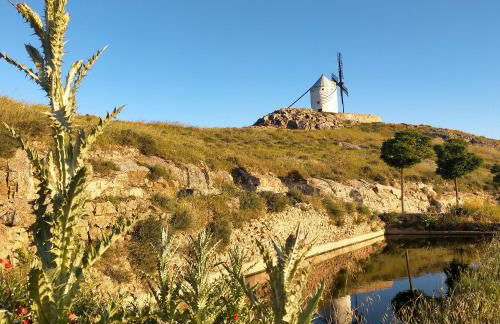 Azafrán Consuegra Casa Rural - Foto 111