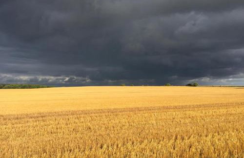 NEU! Ferienwohnung Arkona auf Rügen - Foto 22