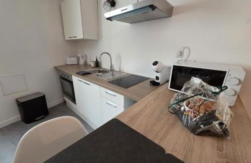 Le Timon - large studio avec Wi-Fi - Foto 11