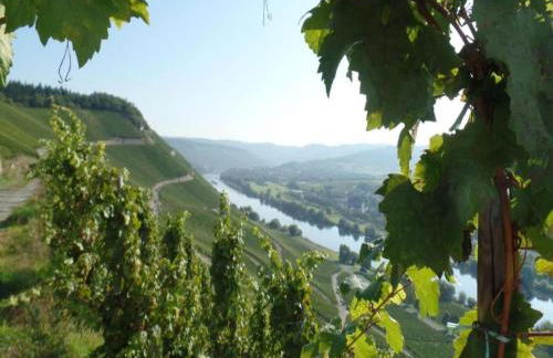 Wine Country Apartment - Foto 25