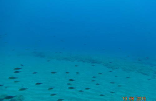 Mary's house - Photo 46