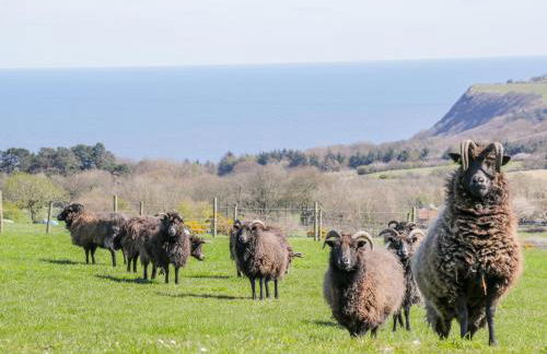 Honey Bee Cottage - Foto 20