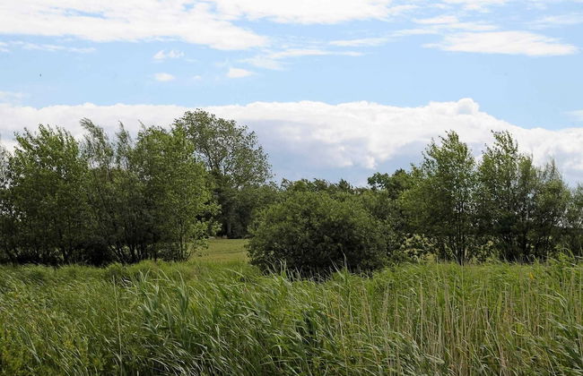 Luxury Spa Retreat by Sea - By Traum Ferienwohnungen - Foto 26