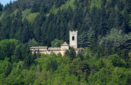 Badia a Coltibuono Wine Resort - Foto 16