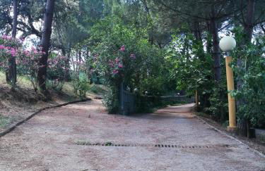 Finca rural Labriega del hueznar - Photo 57