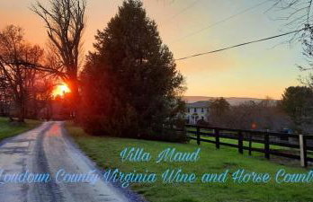 Villa Maud - Foto 38