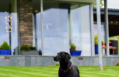Knockderry Lodge -Private Luxury pet-friendly accommodation in Scotland with hot tub - Foto 33