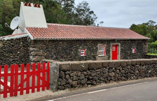 Ti Chôa - Casa da Mata - Photo 24