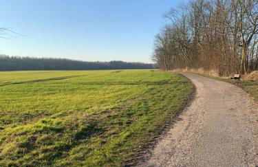 Noorhus - Kurzurlaub an der Ostsee - Foto 28