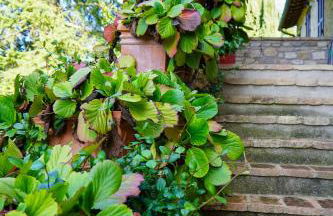 Le Gorghe di Valmarino - Foto 35