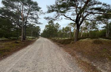 Domki nad morzem " Przy Lesie" - Foto 4