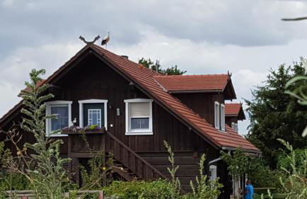 Spreewaldhaus zum Schoberplatz - Foto 68