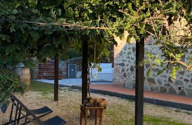 Il Borghetto Andrea Tafi - Foto 67