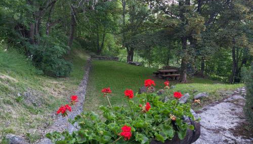 La petite maison - Foto 5