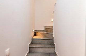 Anemona Tinos - Foto 14