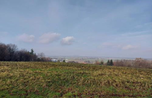 Fewo Grünberg - Foto 7