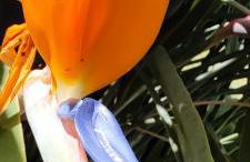 Villa Teresa - Foto 46