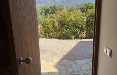 Quinta-lina de serpins - Foto 11