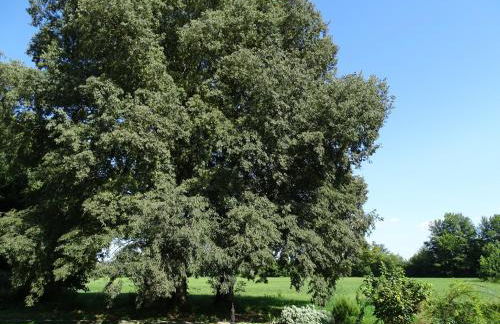 Corte Isolo - Photo 45