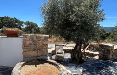 Casanova Country Villa - Foto 21