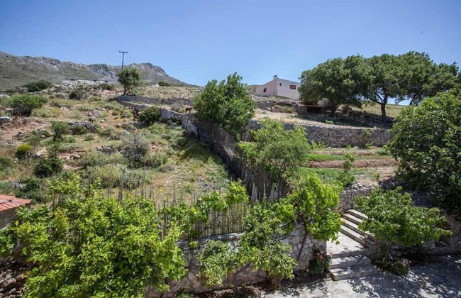 Petrinos Milos - Foto 45