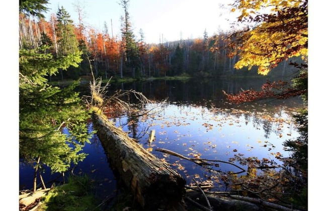 Mountain Apartment in Bad Kotzting - Foto 17