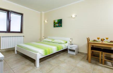 Oliva Apartments 1 Lozica - Foto 22