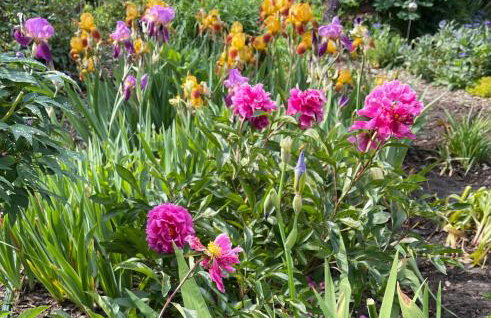 Ferienwohnung mit Charme - Foto 29