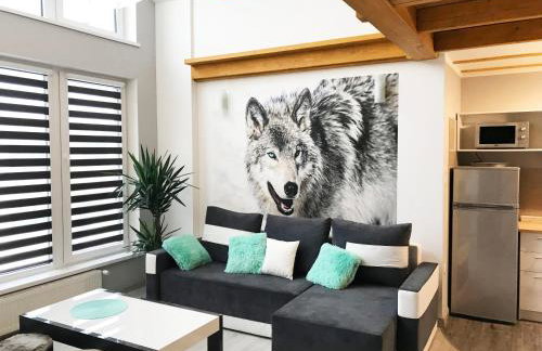 Apartamenty Centrum Rajcza - Foto 10