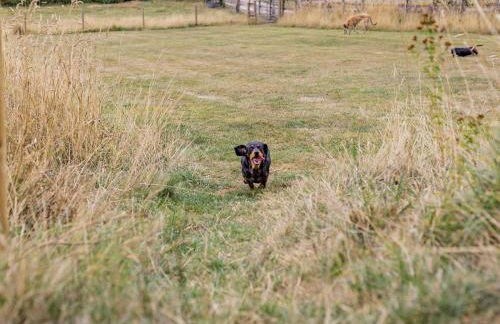 2 Bed in Leominster oc-78637 - Foto 23