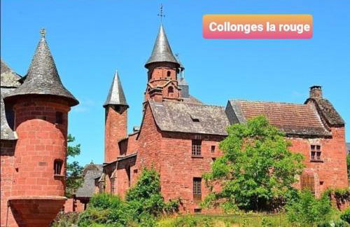Gite avec charme entre Collonges la rouge-Turenne - Foto 17