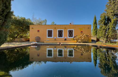 Quinta do Barrieiro - Art Selection by Maria Leal da Costa - Foto 75