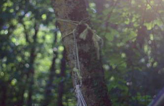 La casa nel bosco-senza auto - Foto 16