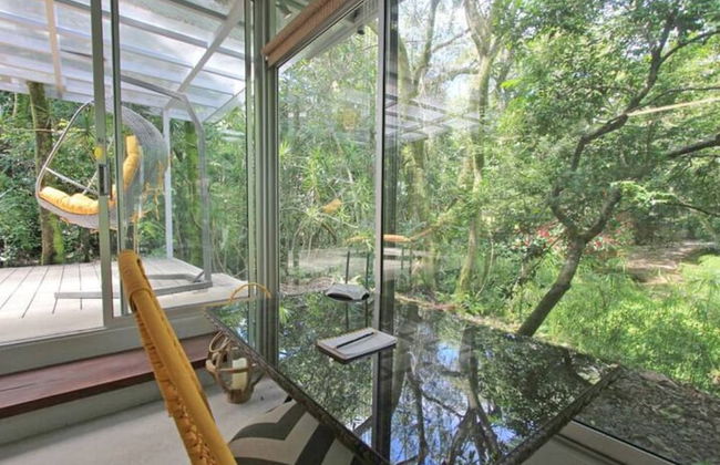 Relaxing Sound of River Birds Squirrels - Foto 24