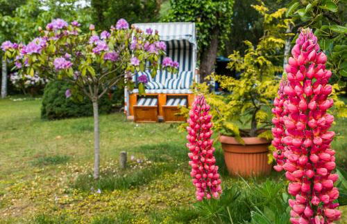 Ferienhaus Ankerherz - Foto 38