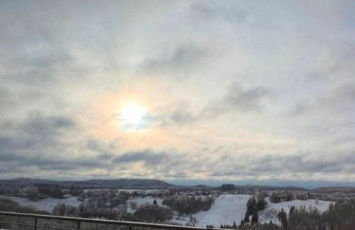 Penthouse - Panorama Suite - Hohegeiß - Foto 32
