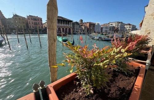Grand Canal Diamond - Photo 23