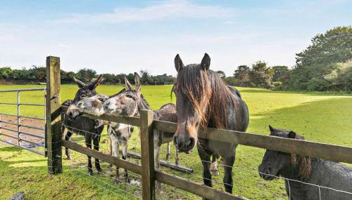 2 Bed in Camborne oc-82635 - Foto 2, Other