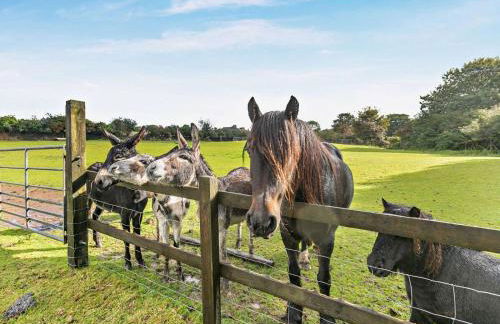 2 Bed in Camborne oc-82635 - Foto 2