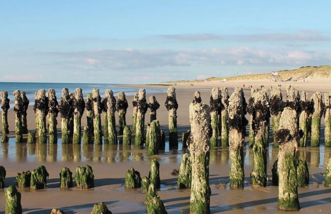 Haus Ruusenhoog - Apartment 7 - Foto 11