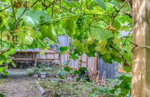 Hearthstone Retreat - Meredith Lodging - Foto 47