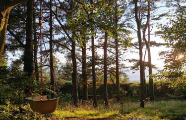 Doughery Den The Dark Hedges Hideaway - Foto 48