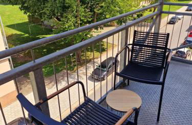 FEWO "Anne" Großzügige Wohnung im Zentrum von Chemnitz - Foto 12