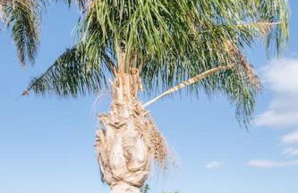 Olea Seaside luxury apartment in Crete - Foto 40