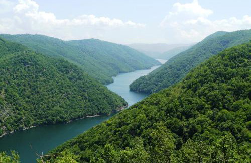 Petrini Gonia - Foto 28