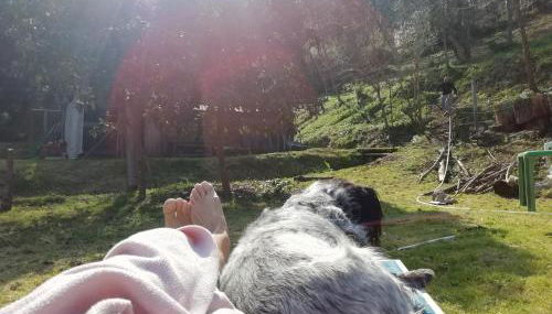 Serenità nella Natura - Foto 3