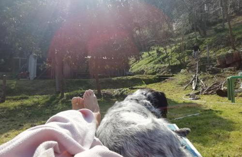 Serenità nella Natura - Foto 3