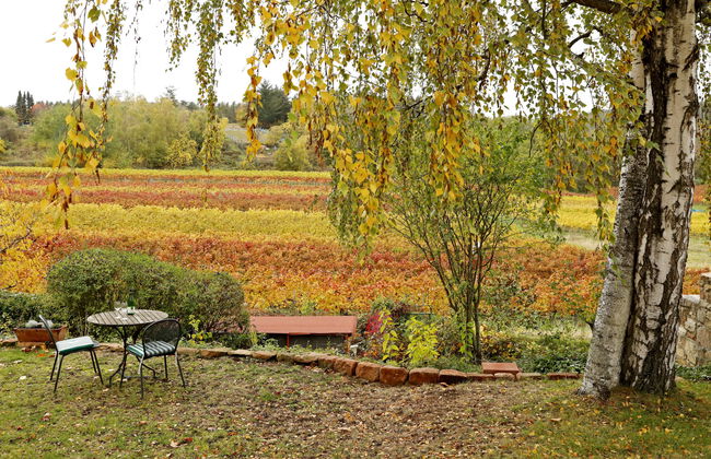 Am Weinberg - Foto 21