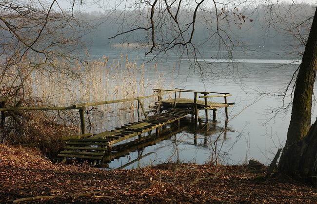 Agroturystyka u przyjaciol Soni - Foto 17