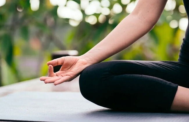 Los Acebos de Peña Cabarga - Foto 24